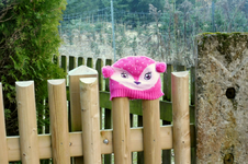 EIn Stückchen Zaun.webp