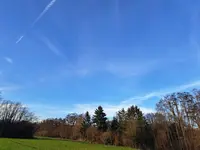 20231216_151216.webp