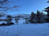 IMG_1346.jpeg