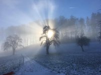 IMG_1347.jpeg