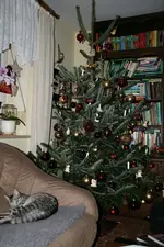 Dez.0911.webp