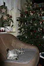 Dez.A 0912a.webp