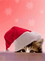 animaatjes-kerst-katten-81341.gif