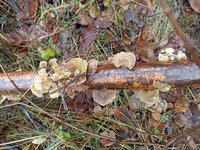 IMG_20231213_112856.jpg