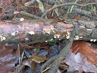 IMG_20231213_113214.jpg