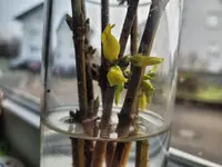 20231216_093026.webp