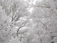 Schneezauber.JPG