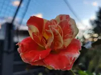 20231119_162105.webp