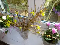 DSC03240.webp