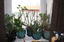 Winterlager0423.JPG