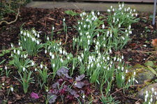 Feb.  0823.JPG