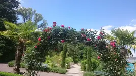 DSC_0754 (4).webp