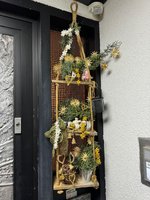 IMG_4409.jpeg
