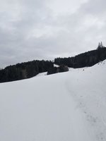 PXL_20231221_092712921.jpg