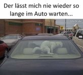 hund.jpg