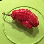 IMG_8815.jpeg