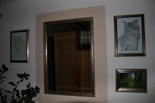 Katzenbilder 0223.JPG