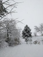 PXL_20231223_130454029.jpg
