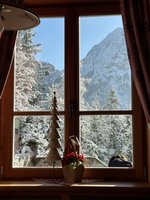 IMG_8413.jpeg