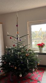 IMG_8847.jpeg