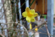 DSC01353.JPG