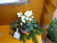 DSC03255.JPG