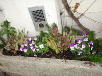 DSC03256.JPG