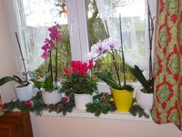DSC03260.JPG
