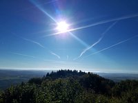 2018-10-05 13.49.51.jpg