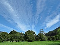 IMG_1835 v (2).JPG