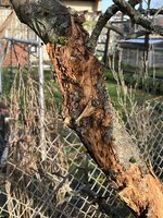 IMG_0048.JPG