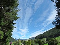 IMG_1842 v (2).JPG