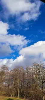 20231228_122147.webp
