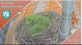 Screenshot 2023-12-29 at 11-06-45 LIVE Webcam Breitungen (Storchennest Regelschule).png