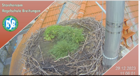 Screenshot 2023-12-29 at 11-06-45 LIVE Webcam Breitungen (Storchennest Regelschule).png