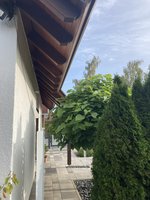 IMG_8723.jpg