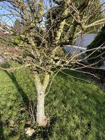 IMG_1310.jpeg