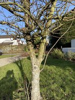 IMG_1311.jpeg