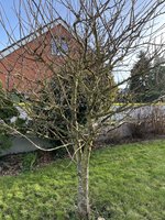 IMG_1312.jpeg