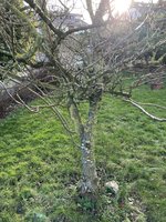 IMG_1313.jpeg