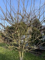 IMG_1314.jpeg