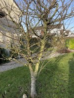 IMG_1315.jpeg