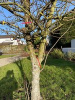 IMG_1311.jpeg