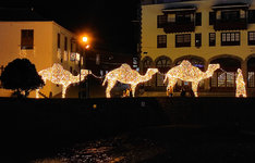 Gallery_1703611126659.jpg