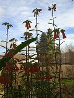 IMG_20231226_141303_1.jpg