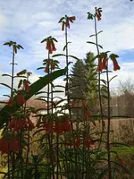 IMG_20231226_141303_1.jpg
