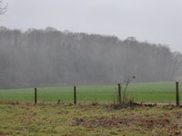 P1030085Regenfahnen.JPG