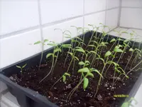 S7301841.webp