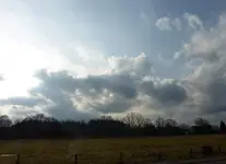 P1020880.webp