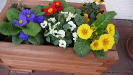 Frühling.webp